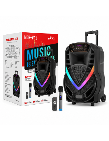 ALTAVOZ 12' NDR-V12 *OFERTA*