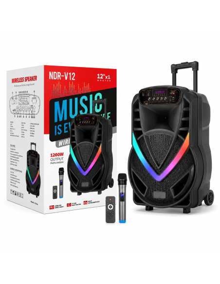 ALTAVOZ 12' NDR-V12 *OFERTA*