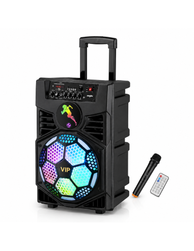 ALTAVOZ MALETA 12" Q12 *OFERTA*