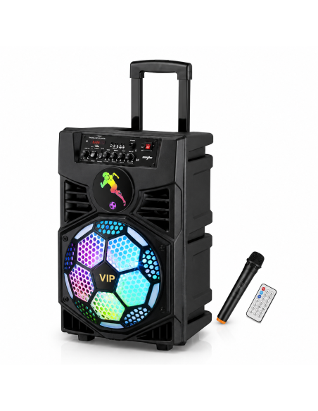 ALTAVOZ MALETA 12" Q12 *OFERTA*