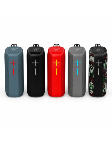 ALTAVOZ P15 PRO HOPESTAR *OFERTA*