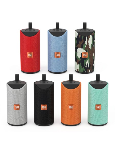 ALTAVOZ TG113