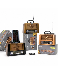 RADIO RX-BT8080S GOLON