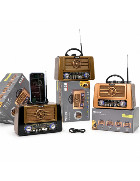 RADIO RX-BT8080S GOLON