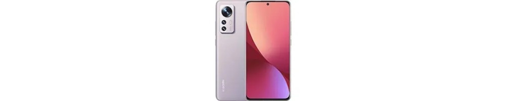 Xiaomi Mi 12 / Mi 12X