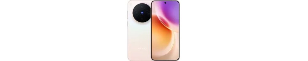 Vivo X300