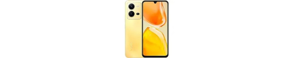 Vivo X80 Lite