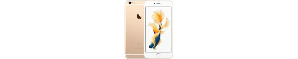 iPhone 6 Plus